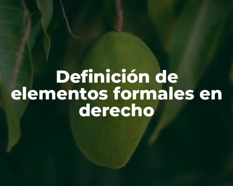 Definición de elementos formales en derecho