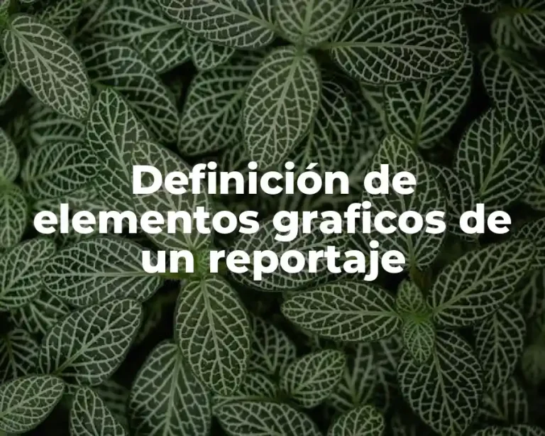 Definición de elementos graficos de un reportaje