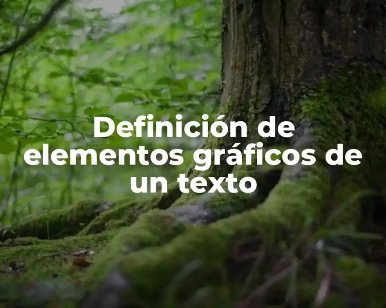 Definición de elementos gráficos de un texto