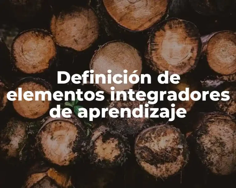 Definición de elementos integradores de aprendizaje