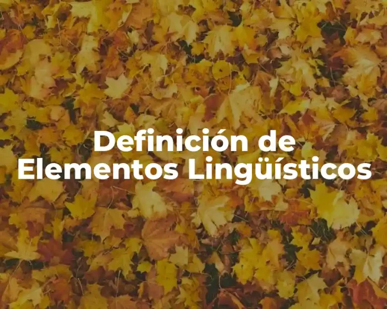 Definición de Elementos Lingüísticos