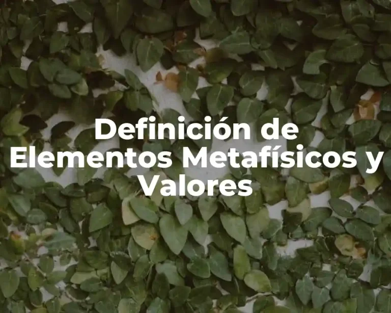 Definición de Elementos Metafísicos y Valores