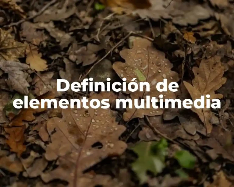 Definición de elementos multimedia