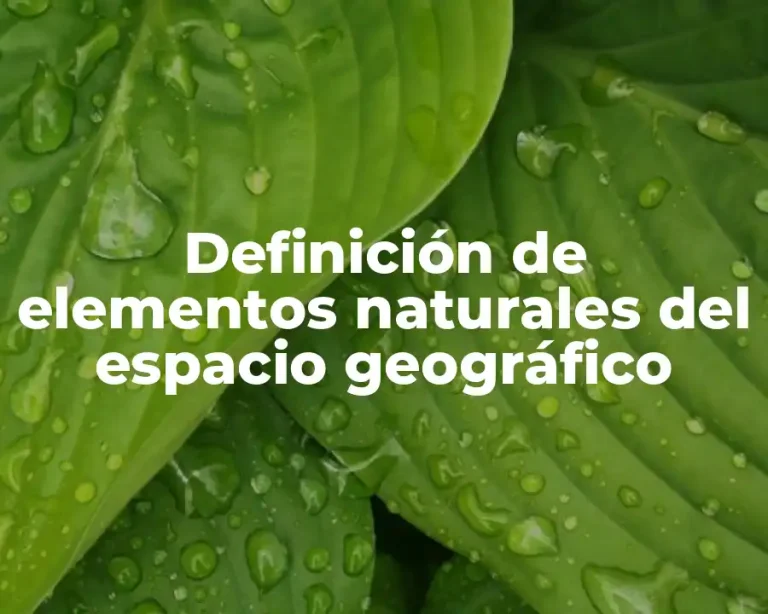Definición de elementos naturales del espacio geográfico