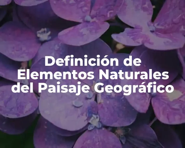 Definición de Elementos Naturales del Paisaje Geográfico