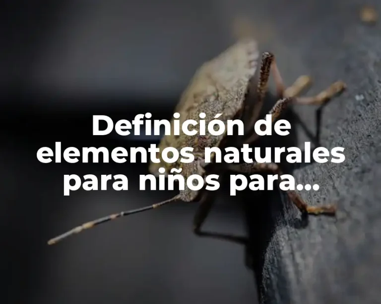 Definición de elementos naturales para niños para colorear