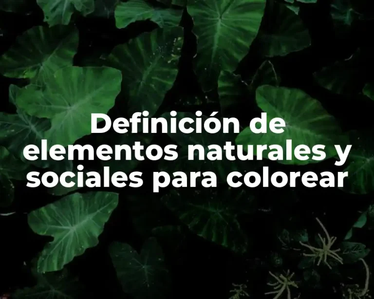 Definición de elementos naturales y sociales para colorear