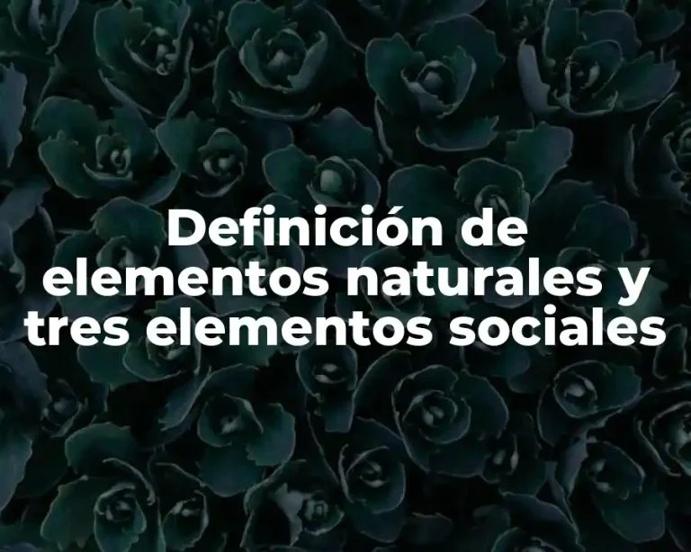 Definición de elementos naturales y tres elementos sociales