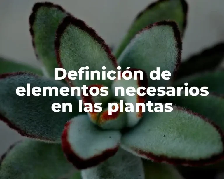 Definición de elementos necesarios en las plantas