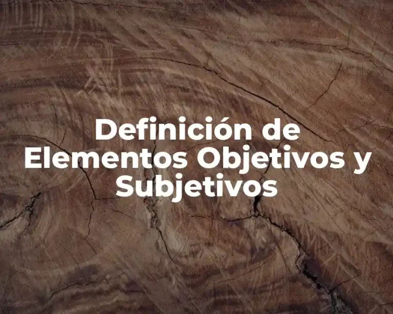 Definición de Elementos Objetivos y Subjetivos