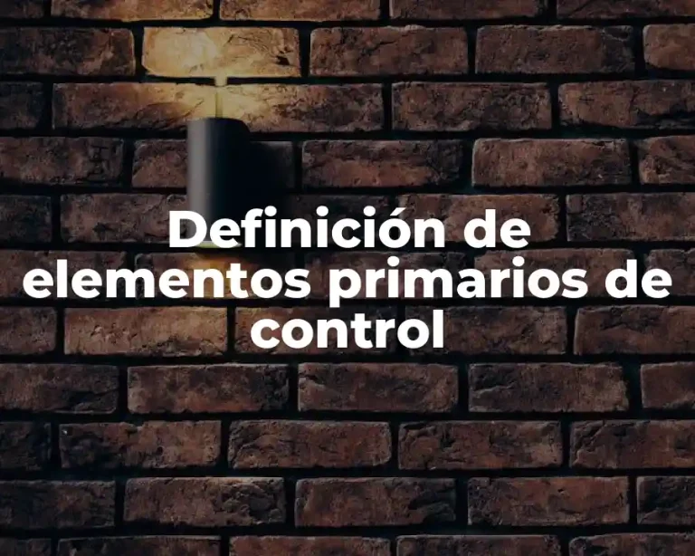 Definición de elementos primarios de control