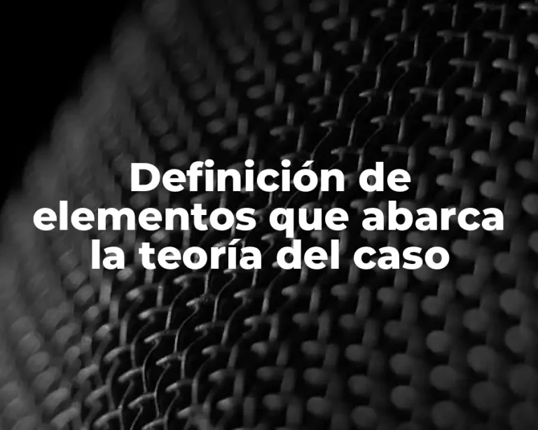 Definición de elementos que abarca la teoría del caso