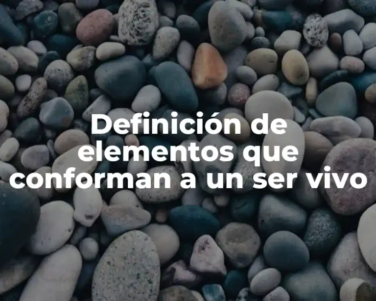 Definición de elementos que conforman a un ser vivo