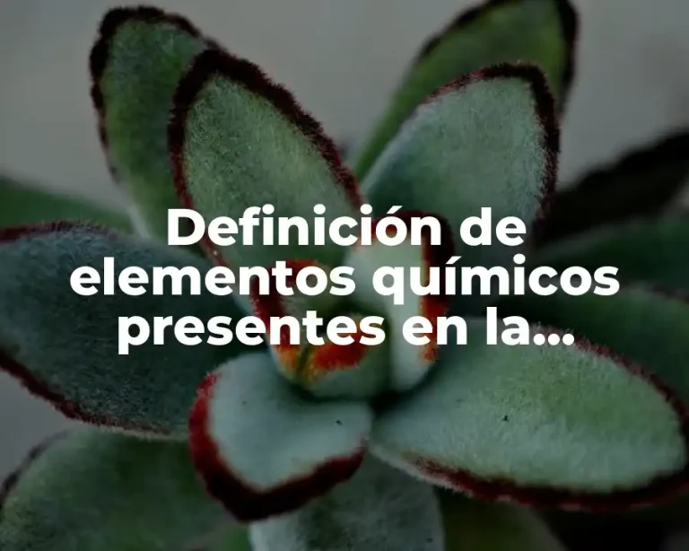 Definición de elementos químicos presentes en la naturaleza