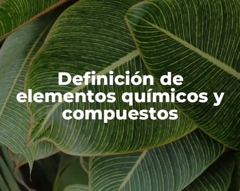 Definición de elementos químicos y compuestos