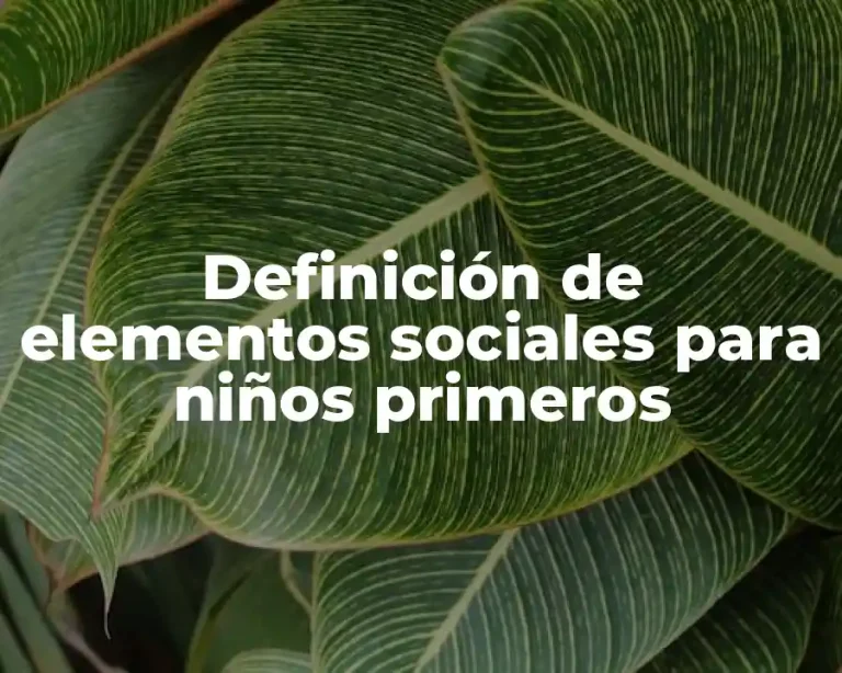 Definición de elementos sociales para niños primeros