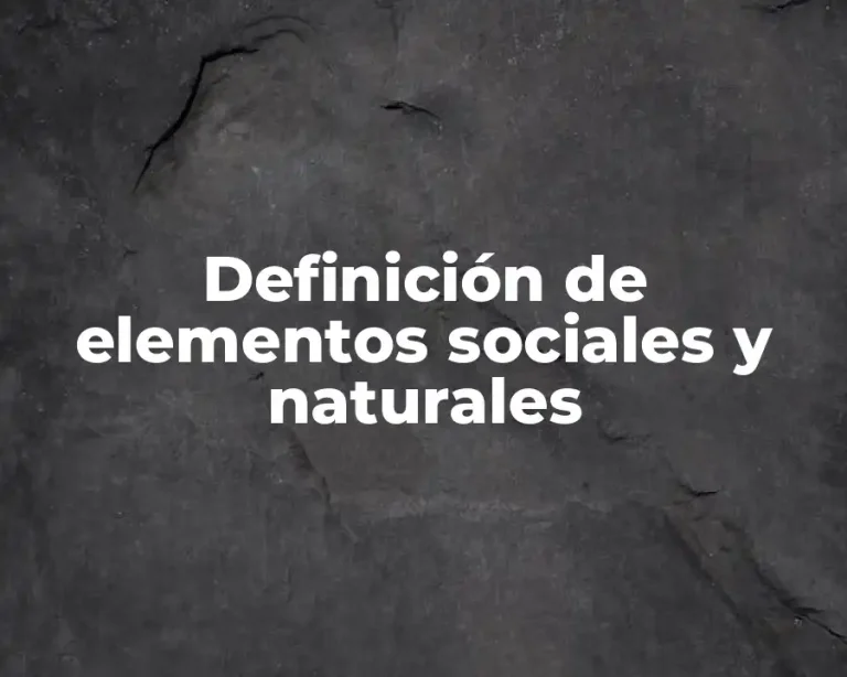 Definición de elementos sociales y naturales