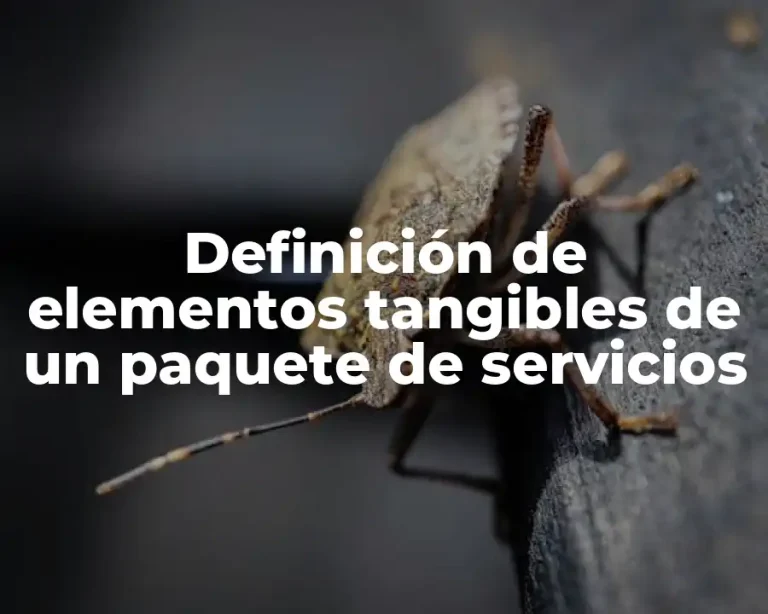 Definición de elementos tangibles de un paquete de servicios