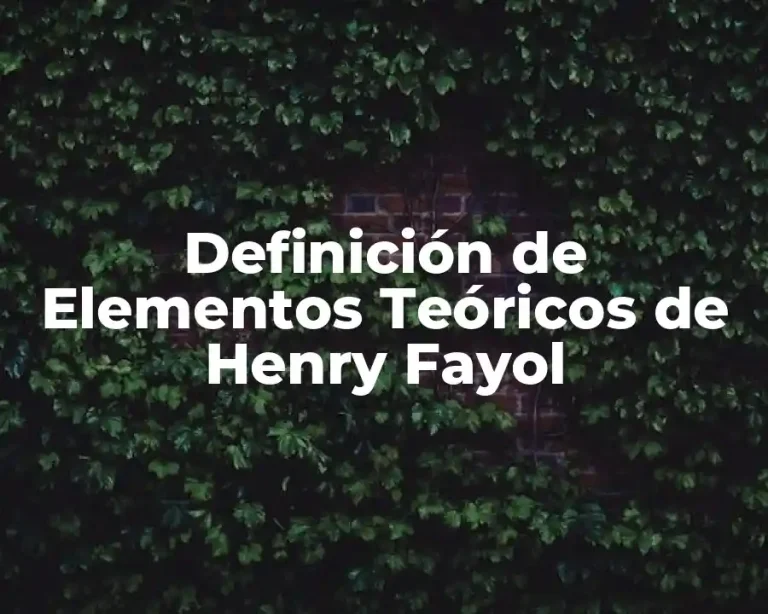Definición de Elementos Teóricos de Henry Fayol