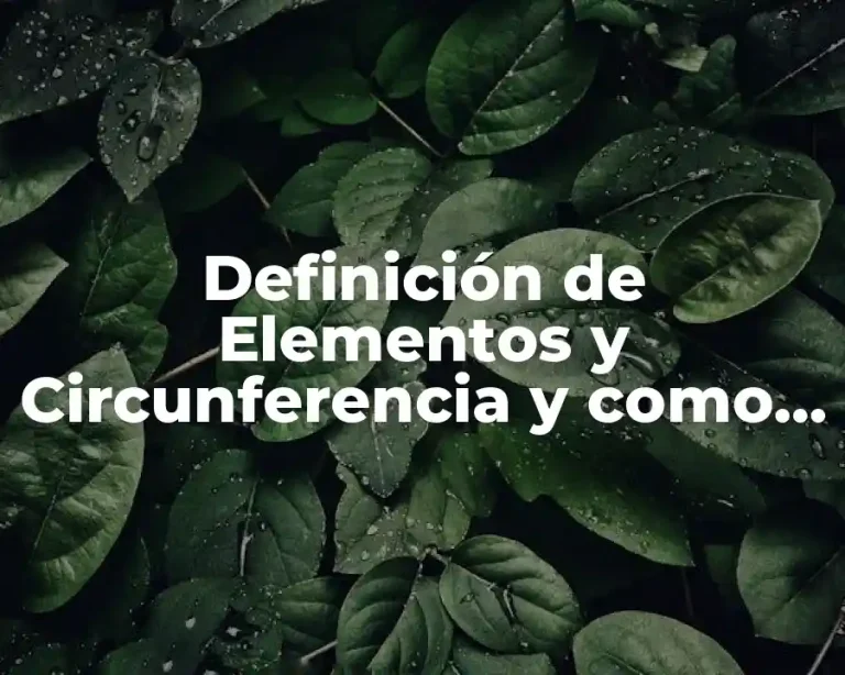 Definición de Elementos y Circunferencia y como hacer gráficas