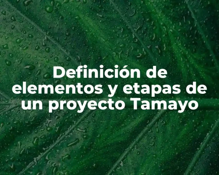 Definición de elementos y etapas de un proyecto Tamayo