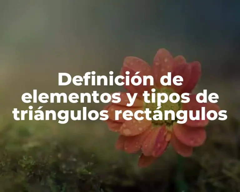 Definición de elementos y tipos de triángulos rectángulos