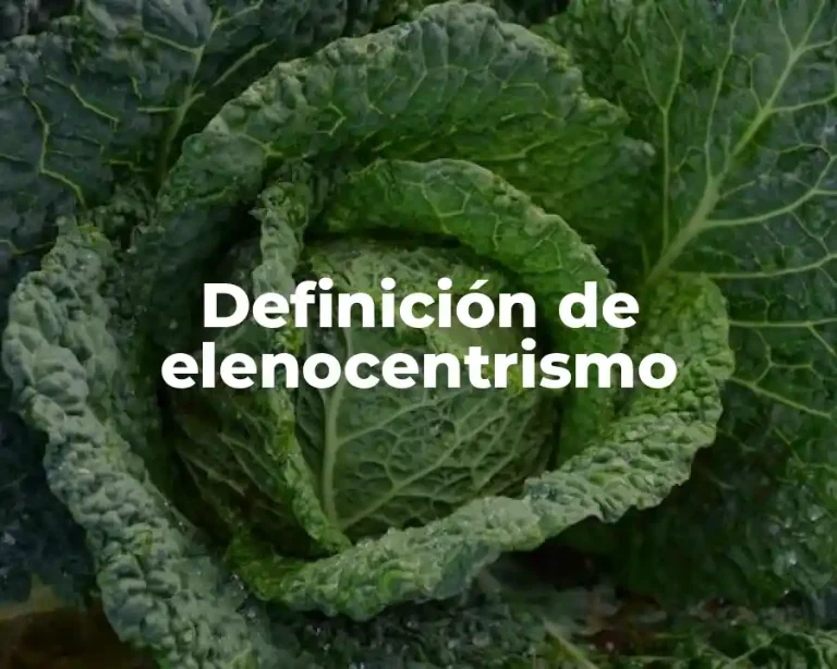 Definición de elenocentrismo