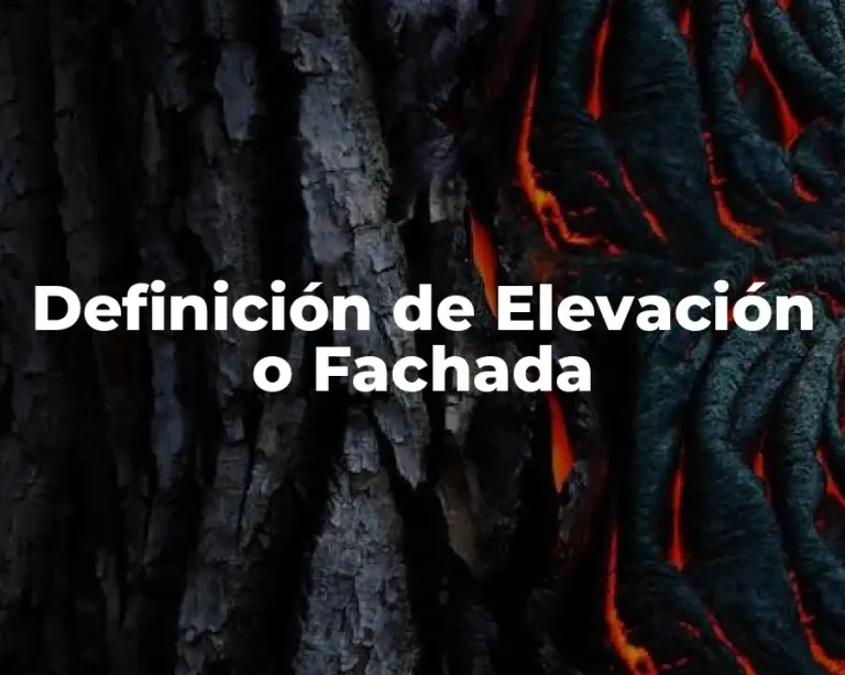 Definición de Elevación o Fachada