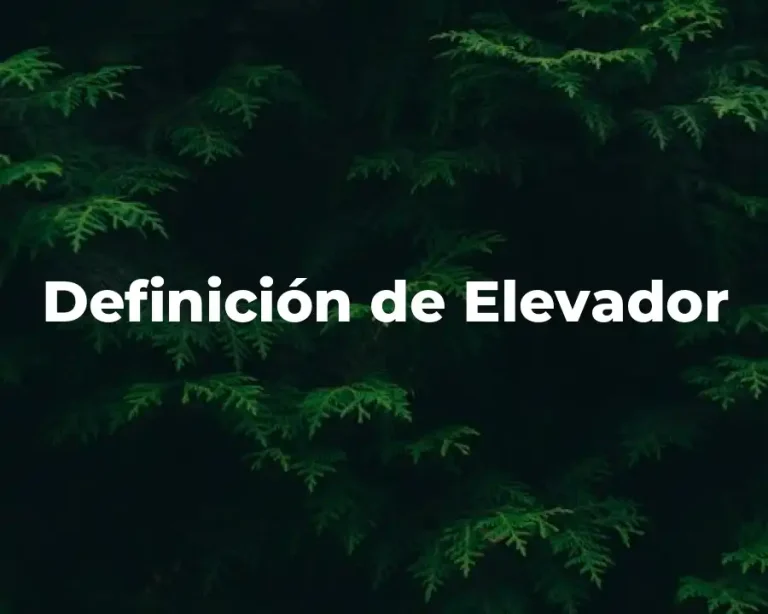 Definición de Elevador