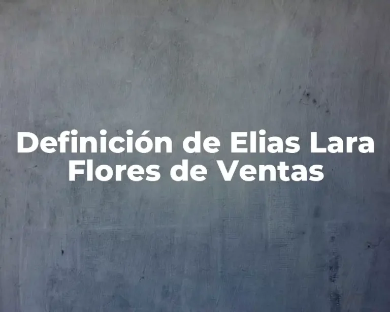 Definición de Elias Lara Flores de Ventas