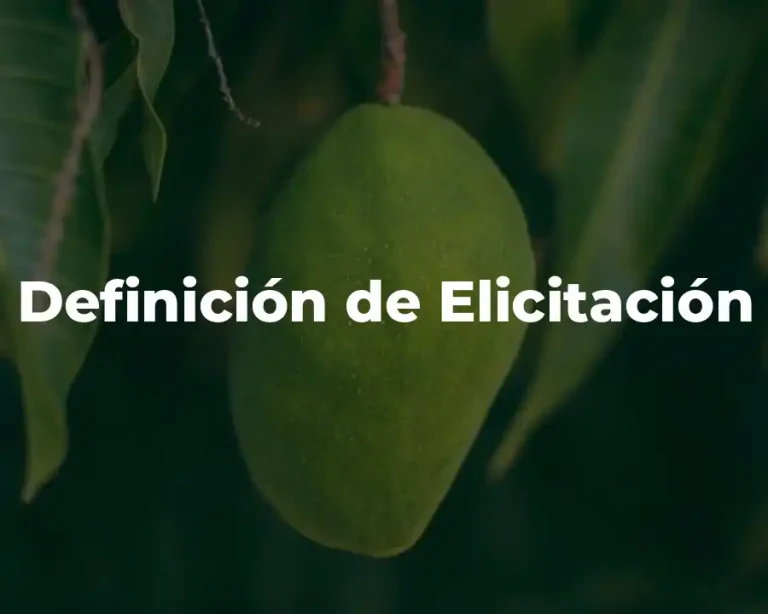 Definición de Elicitación
