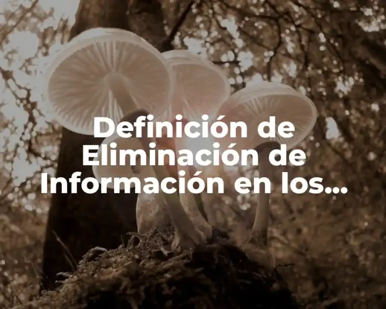 Definición de Eliminación de Información en los Árboles