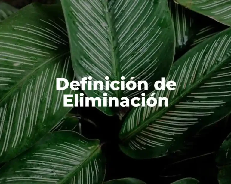 Definición de Eliminación