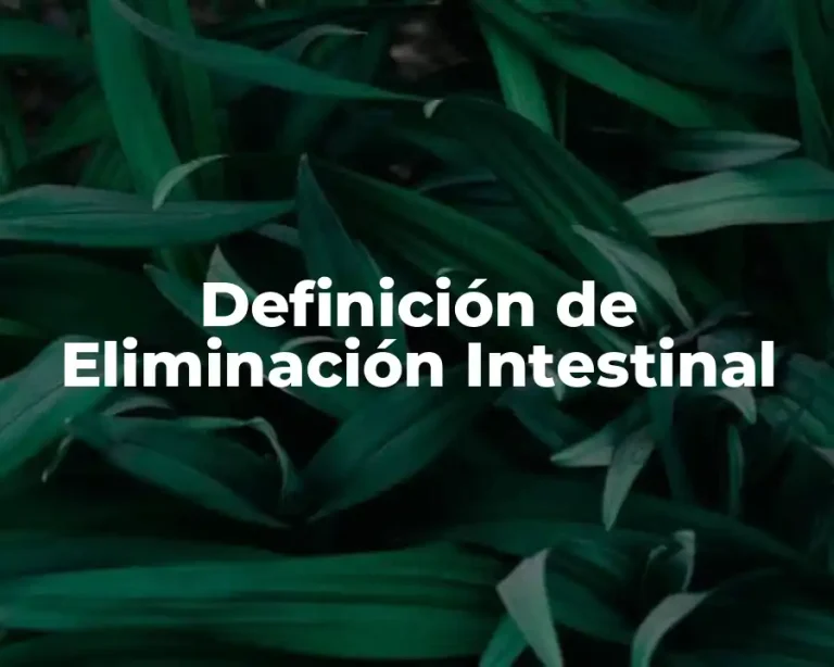 Definición de Eliminación Intestinal