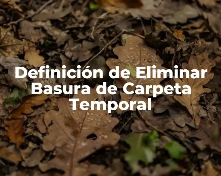 Definición de Eliminar Basura de Carpeta Temporal