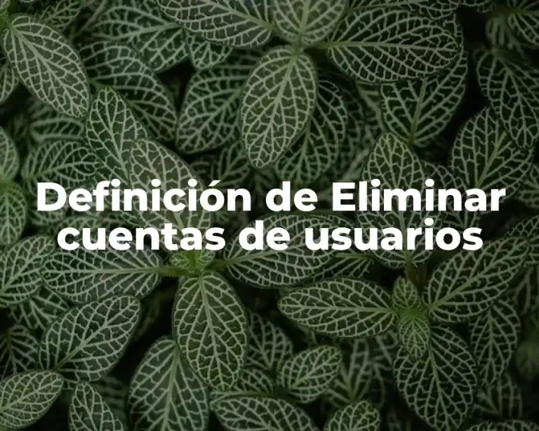 Definición de Eliminar cuentas de usuarios