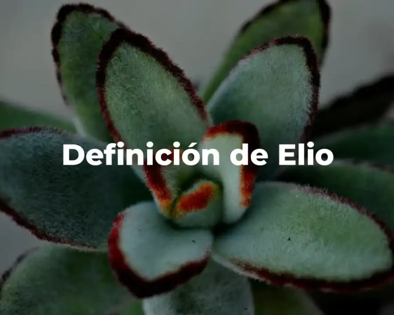 Definición de Elio