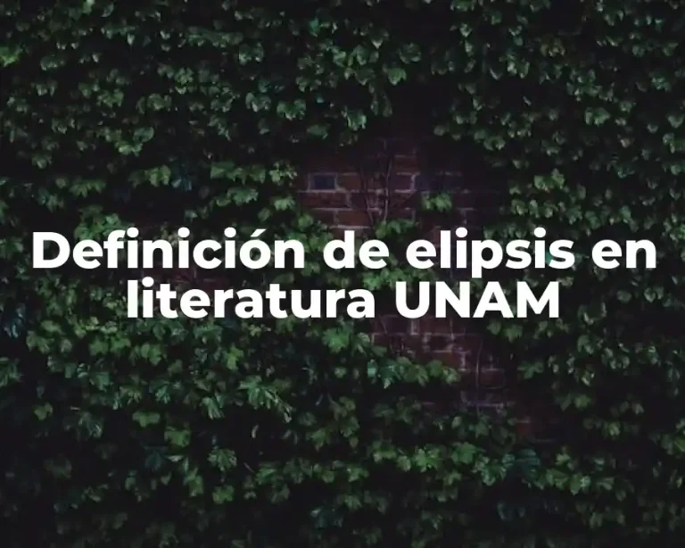 Definición de elipsis en literatura UNAM