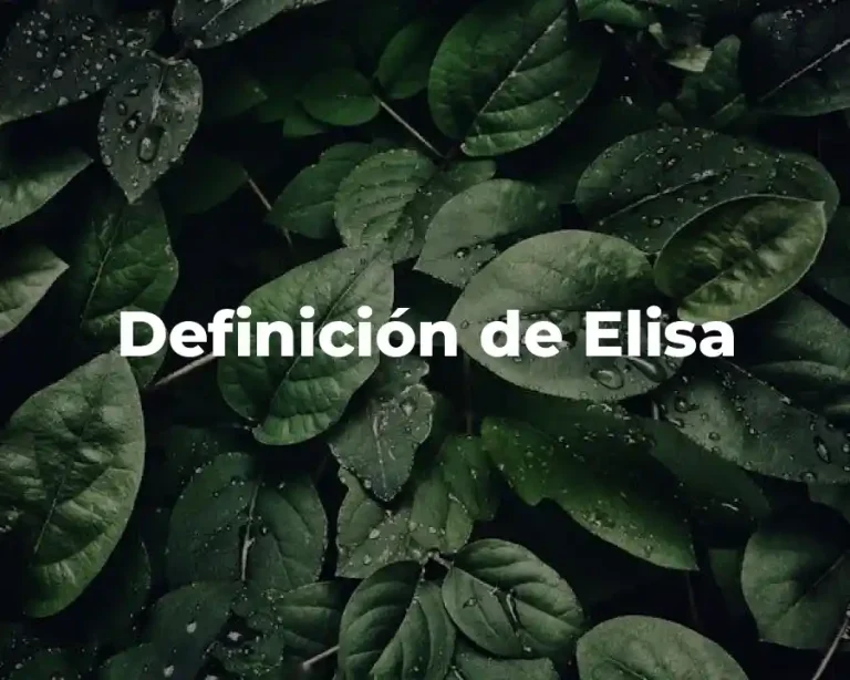 Definición de Elisa