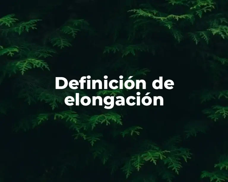 Definición de elongación