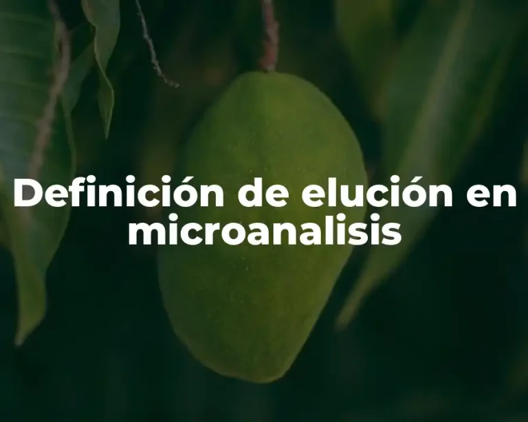 Definición de elución en microanalisis