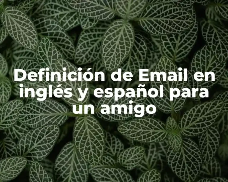 Definición de Email en inglés y español para un amigo