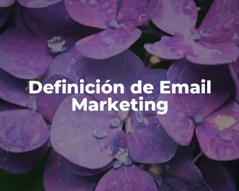 Definición de Email Marketing