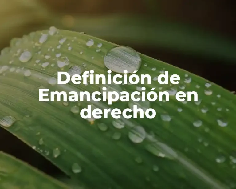 Definición de Emancipación en derecho