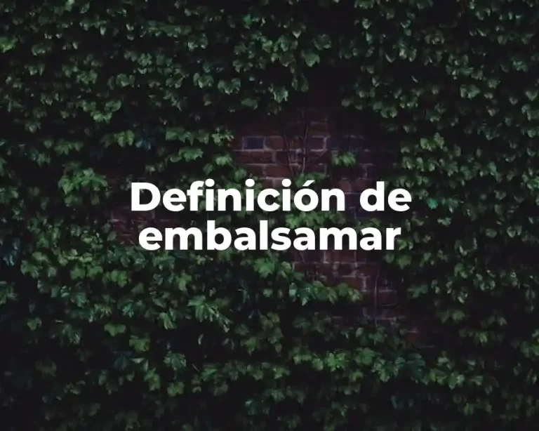 Definición de embalsamar