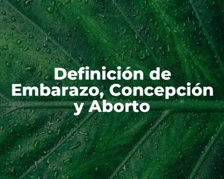 Definición de Embarazo, Concepción y Aborto