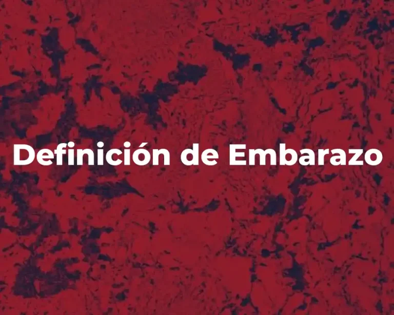 Definición de Embarazo