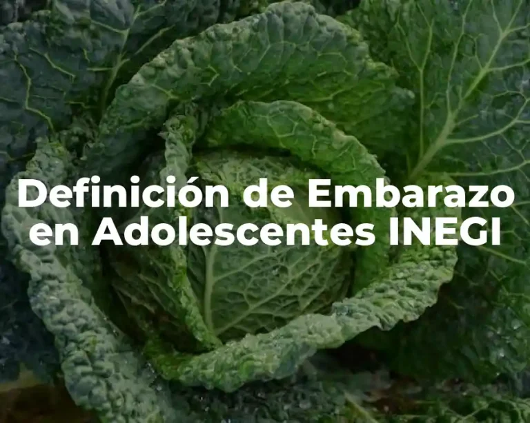 Definición de Embarazo en Adolescentes INEGI