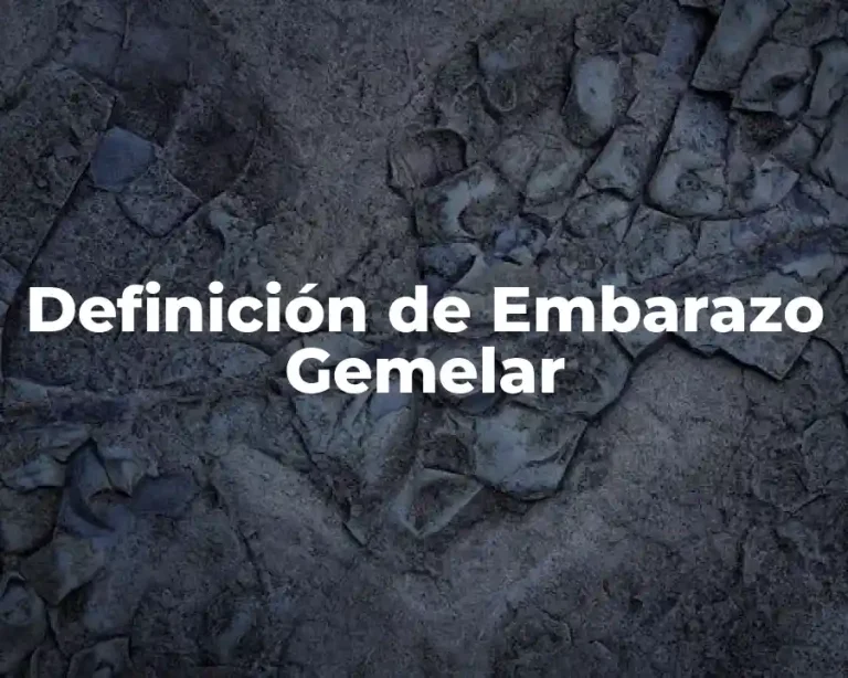 Definición de Embarazo Gemelar