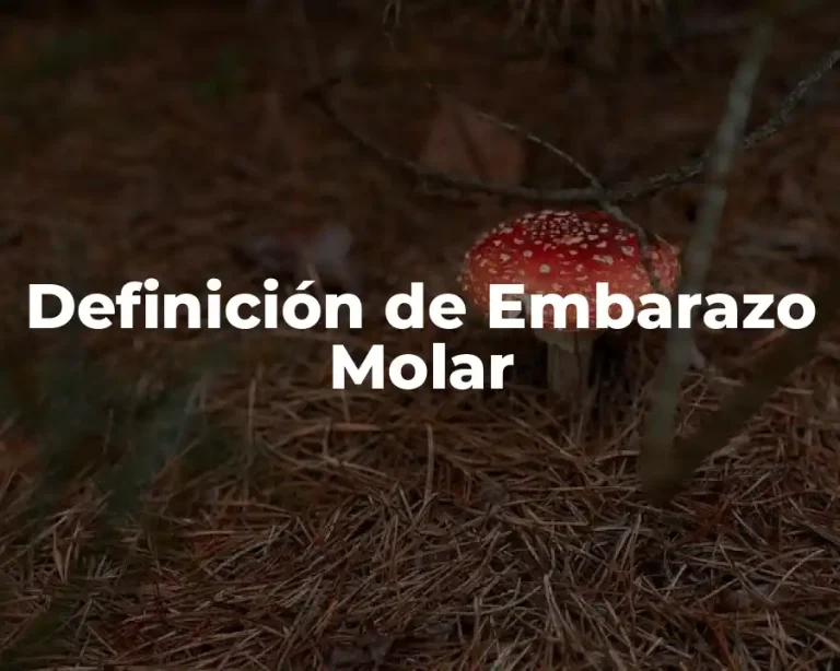 Definición de Embarazo Molar
